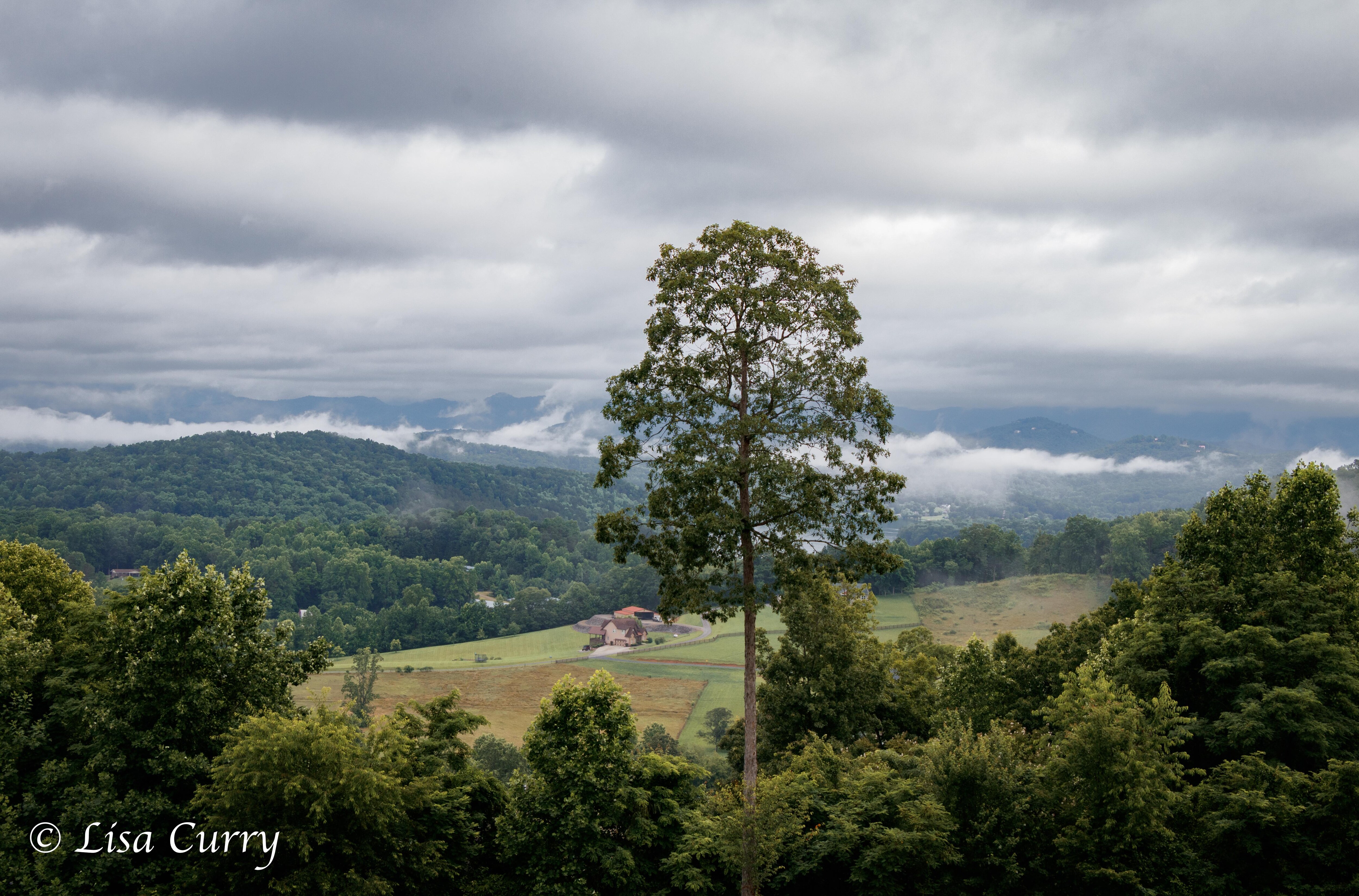 The view from the front porch on a gloomy day...still quite beautiful! 