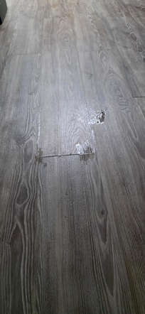 These wet spots were all across the floor. Dried the floor and they came back.