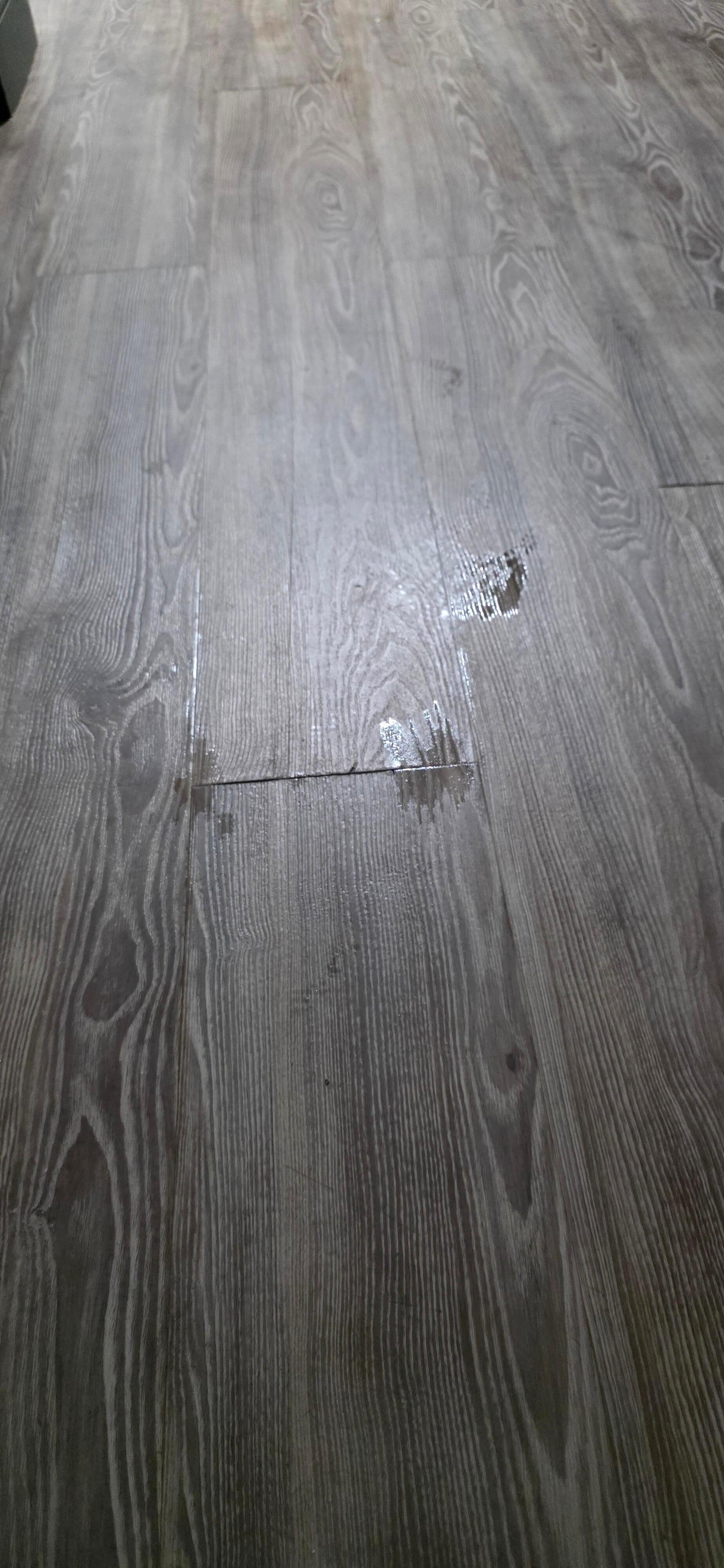 These wet spots were all across the floor. Dried the floor and they came back. 