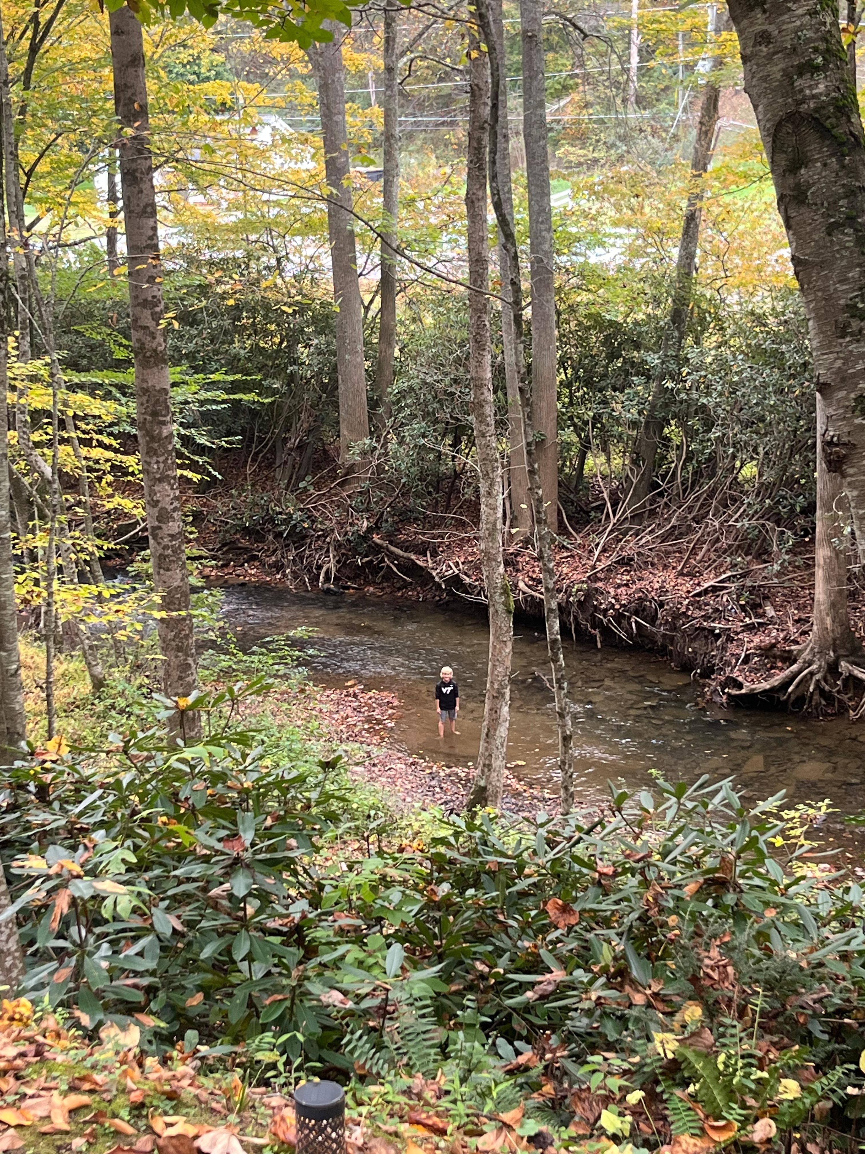 My son in the creek below the house