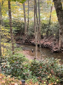 My son in the creek below the house