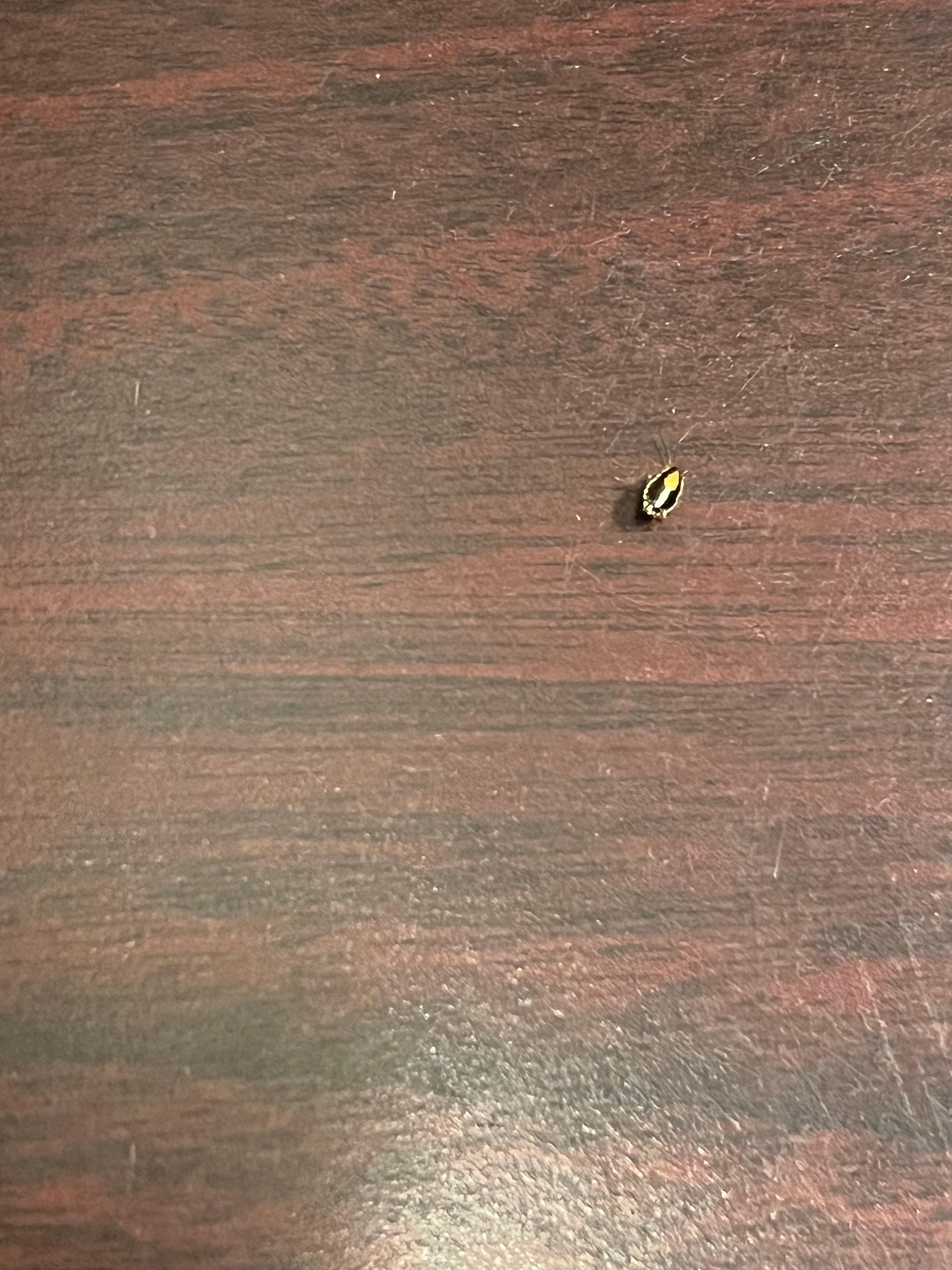 Bug 2 found at location 