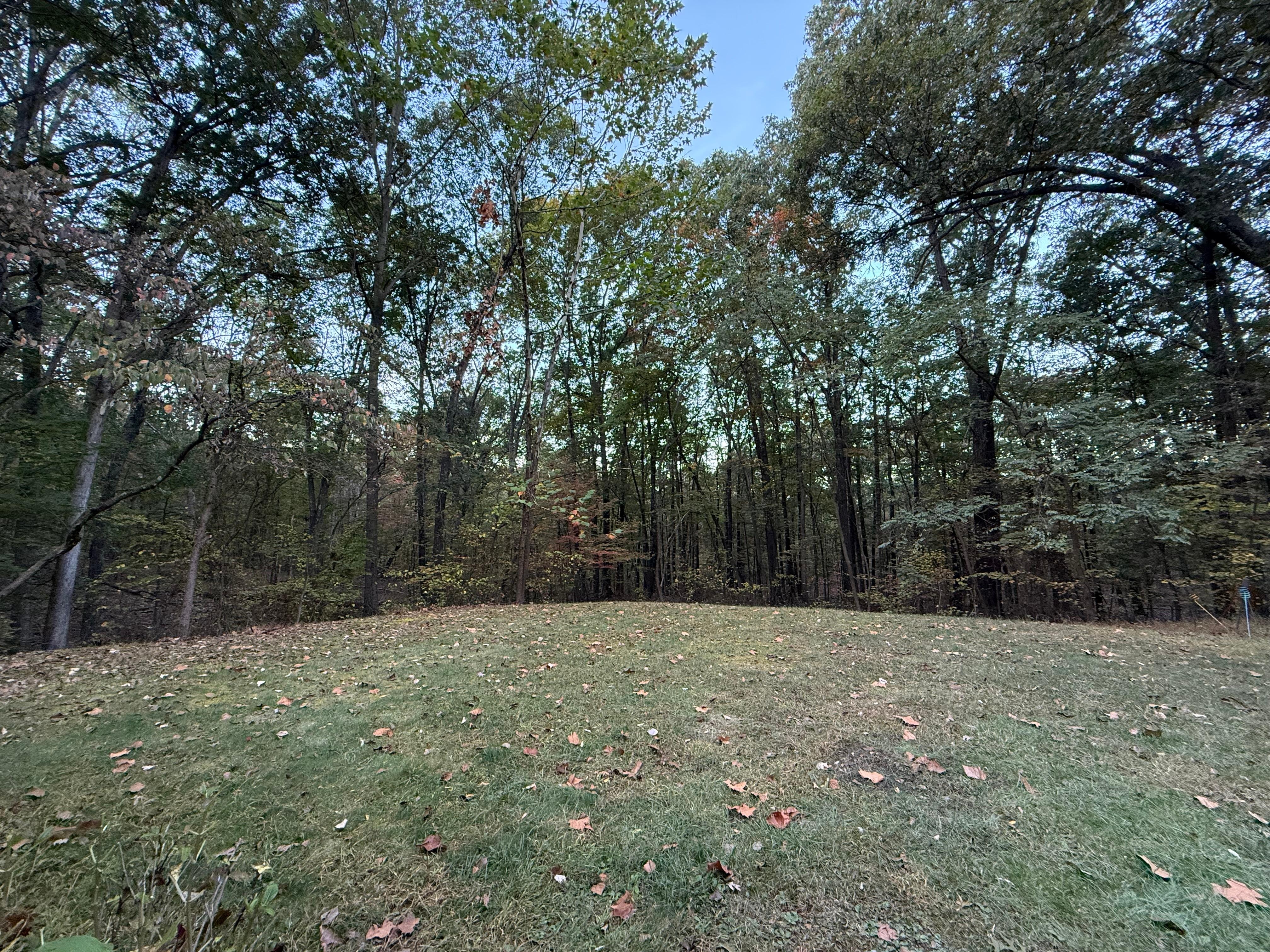 Natures beauty in all directions