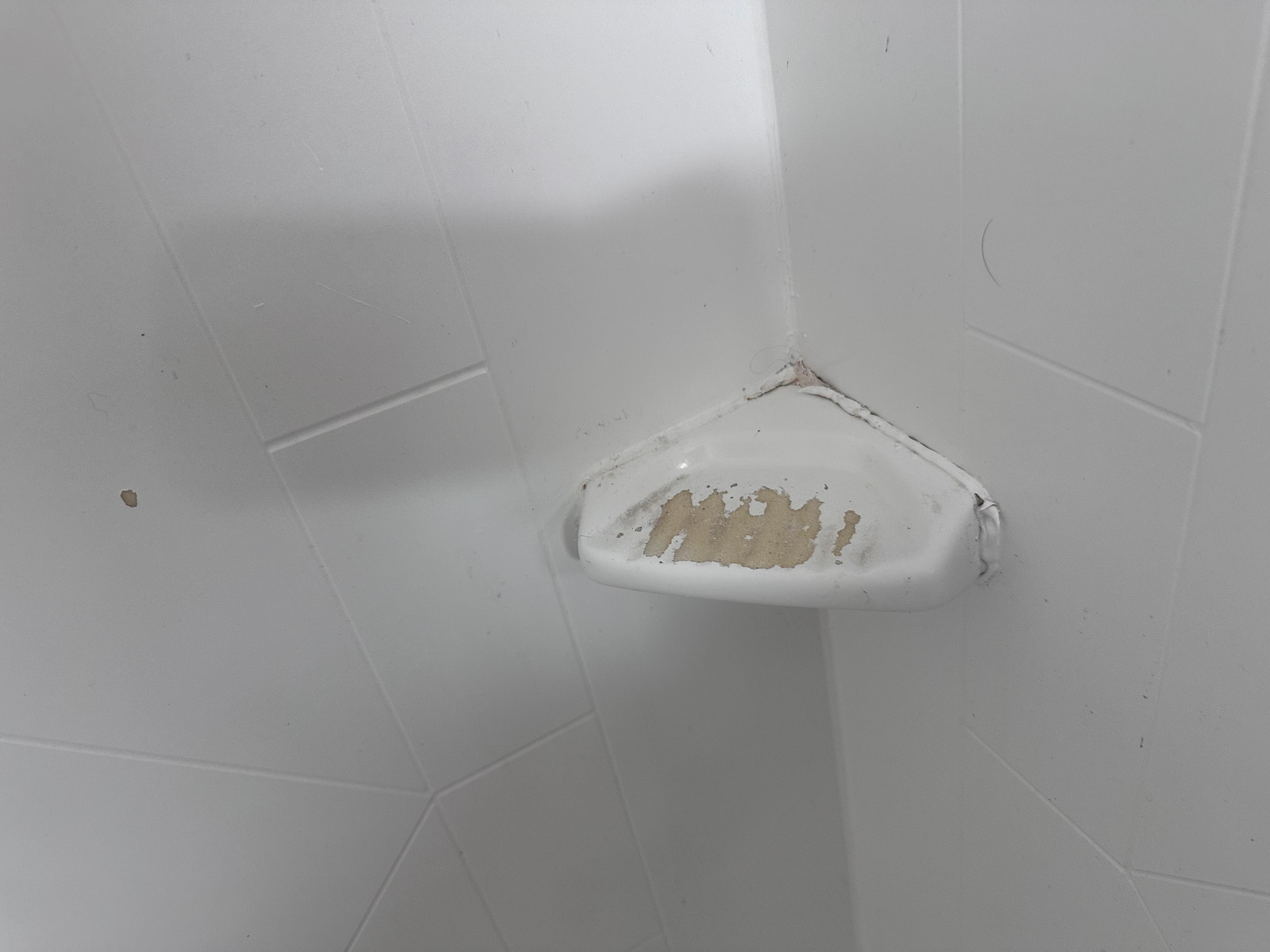 Shower soap tray with paint worn off