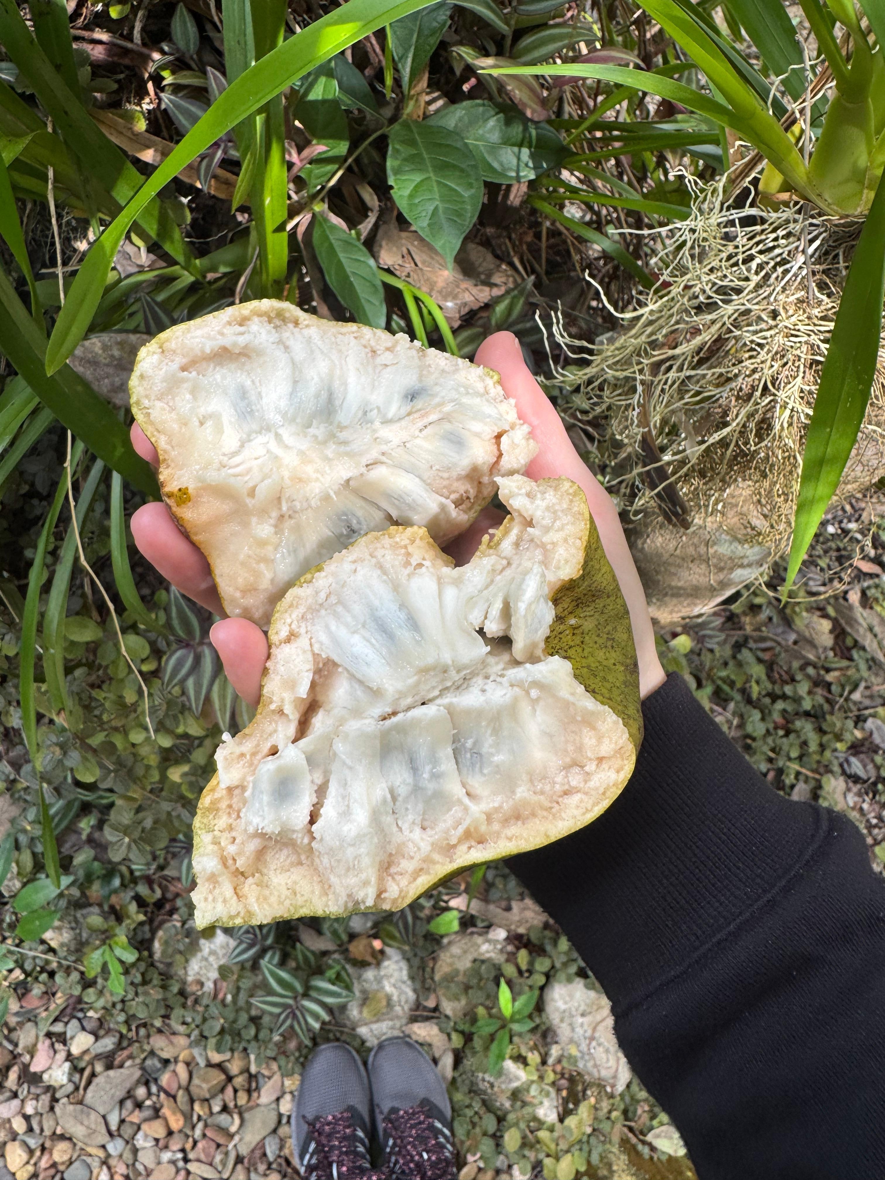 The kitchen gave me my fav. Fruit 