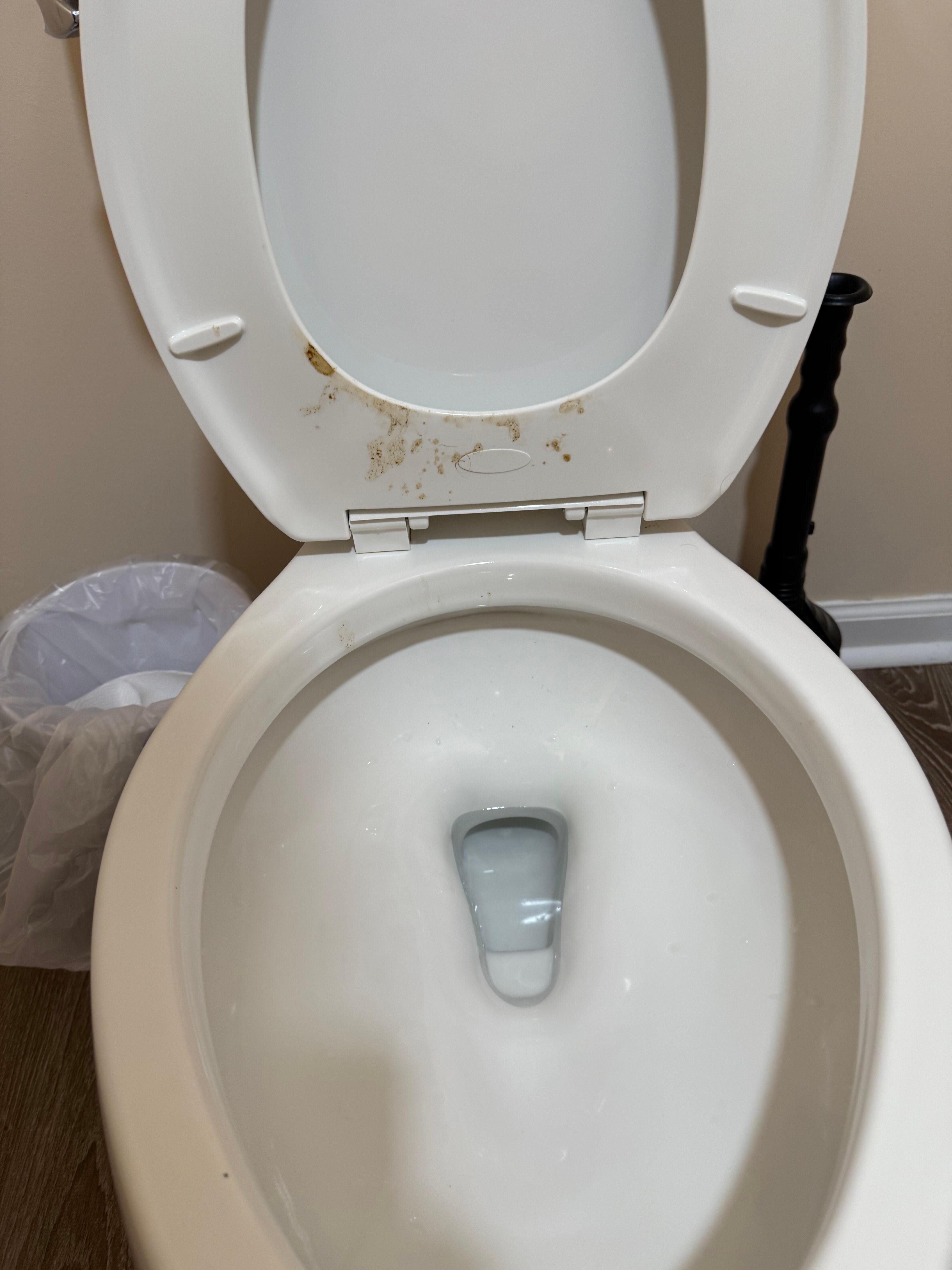 Upstairs master toilet when we arrived. 