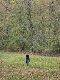 Kids loved the backyard and creek. Falling leaves were beautiful.