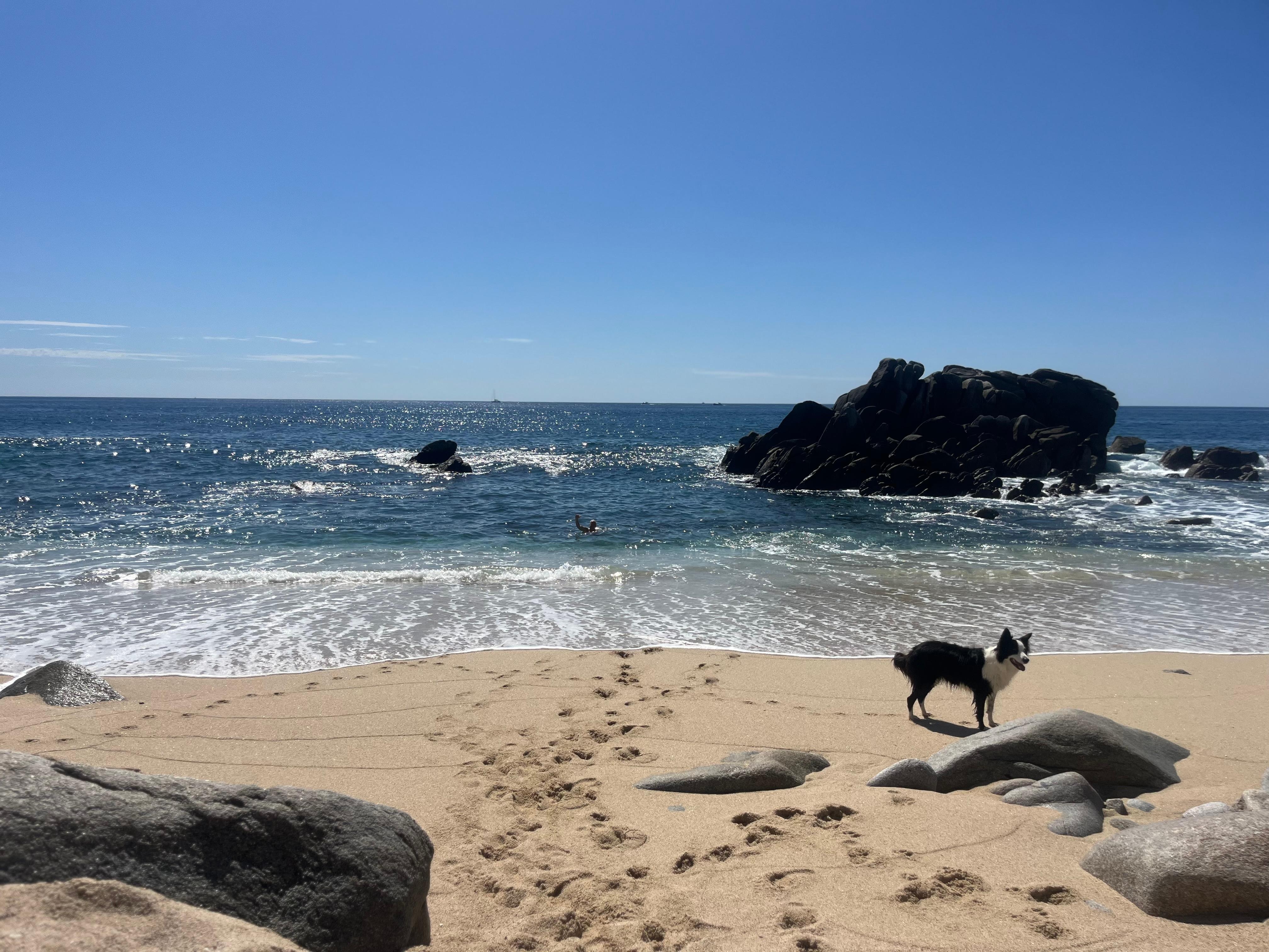 Private beach was super peaceful,