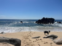 Private beach was super peaceful,