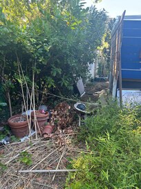 Photo taken in the garden