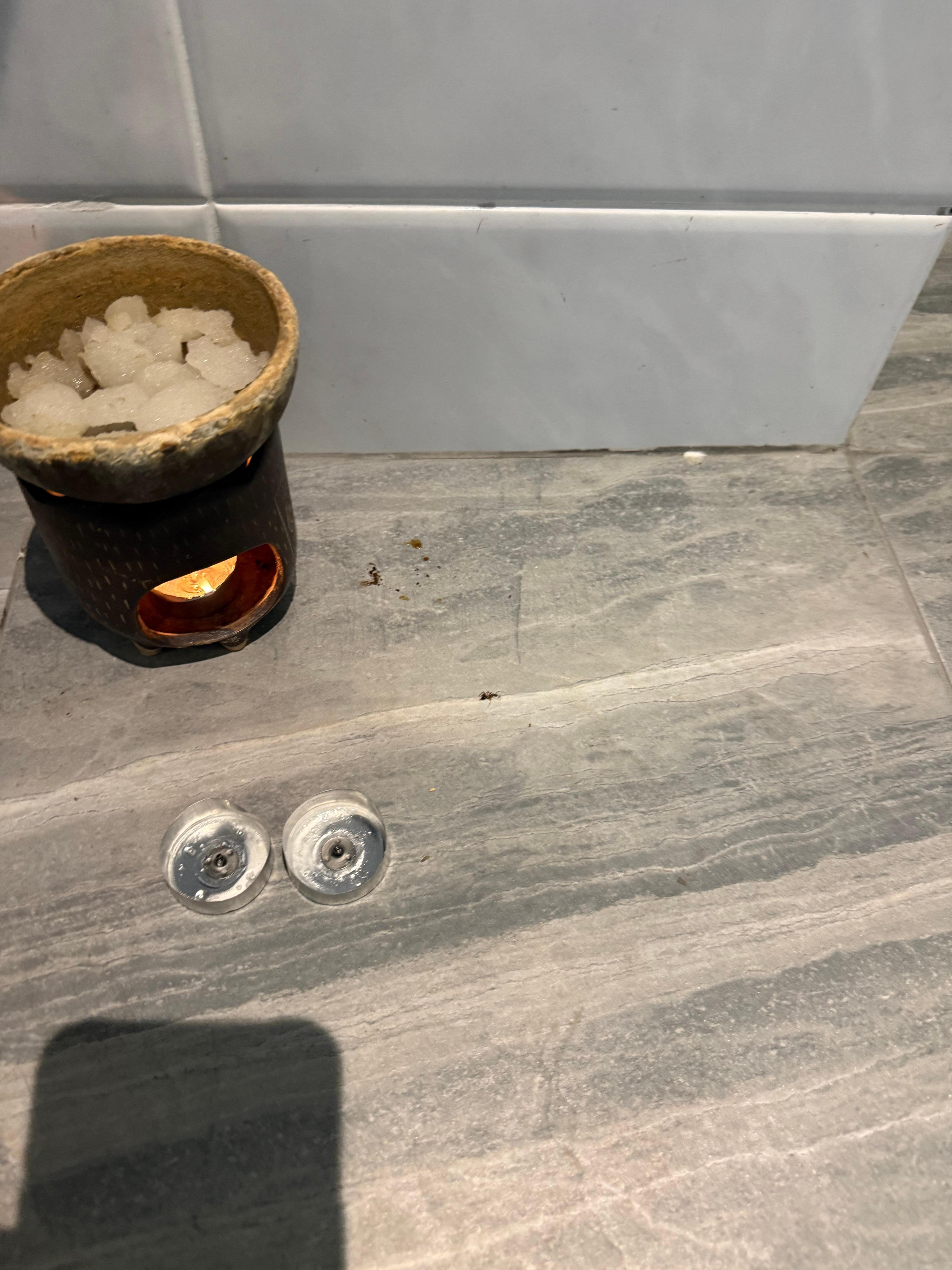 Thai idea of pest control and more squished ants