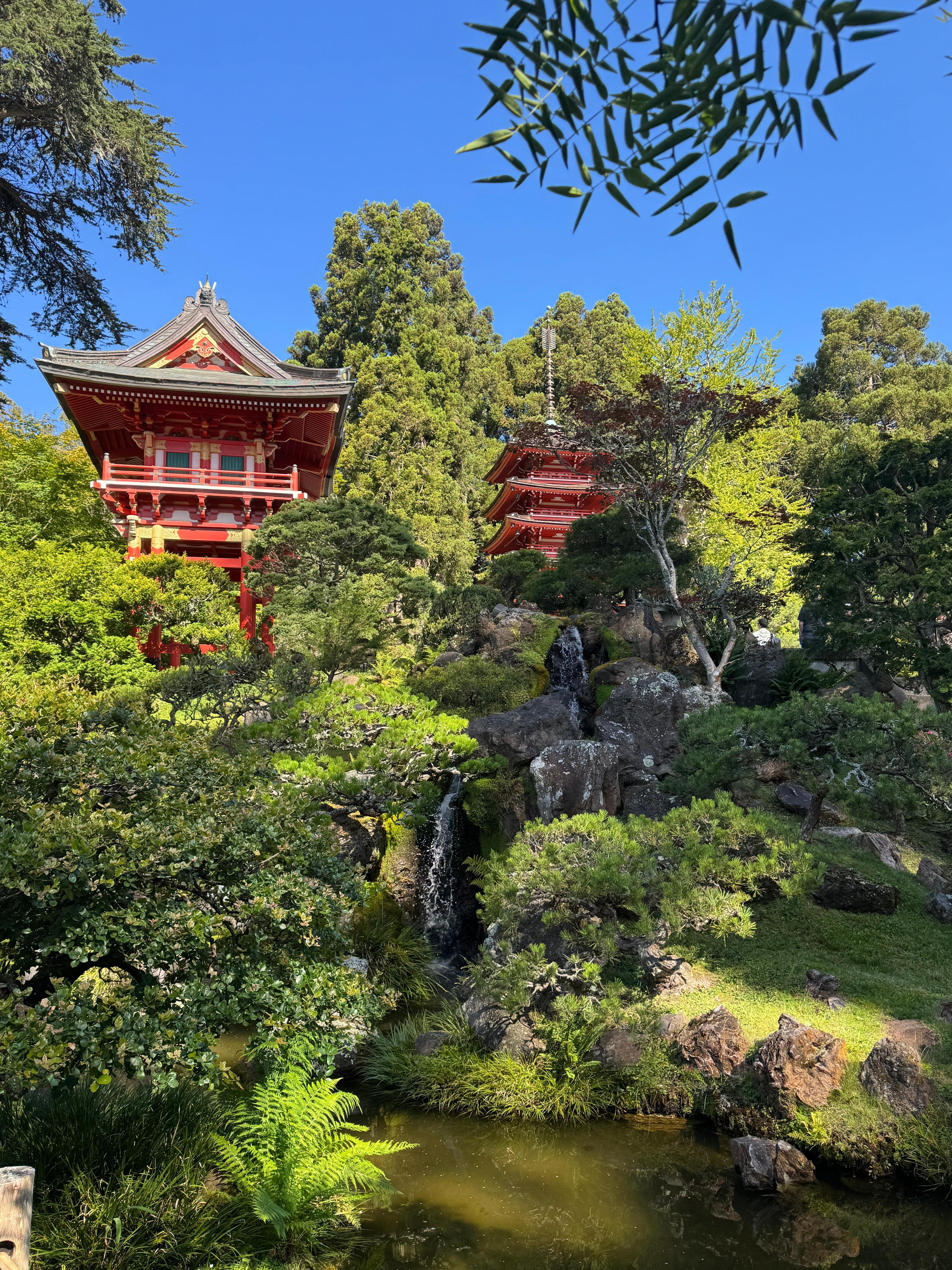 Japanese garden