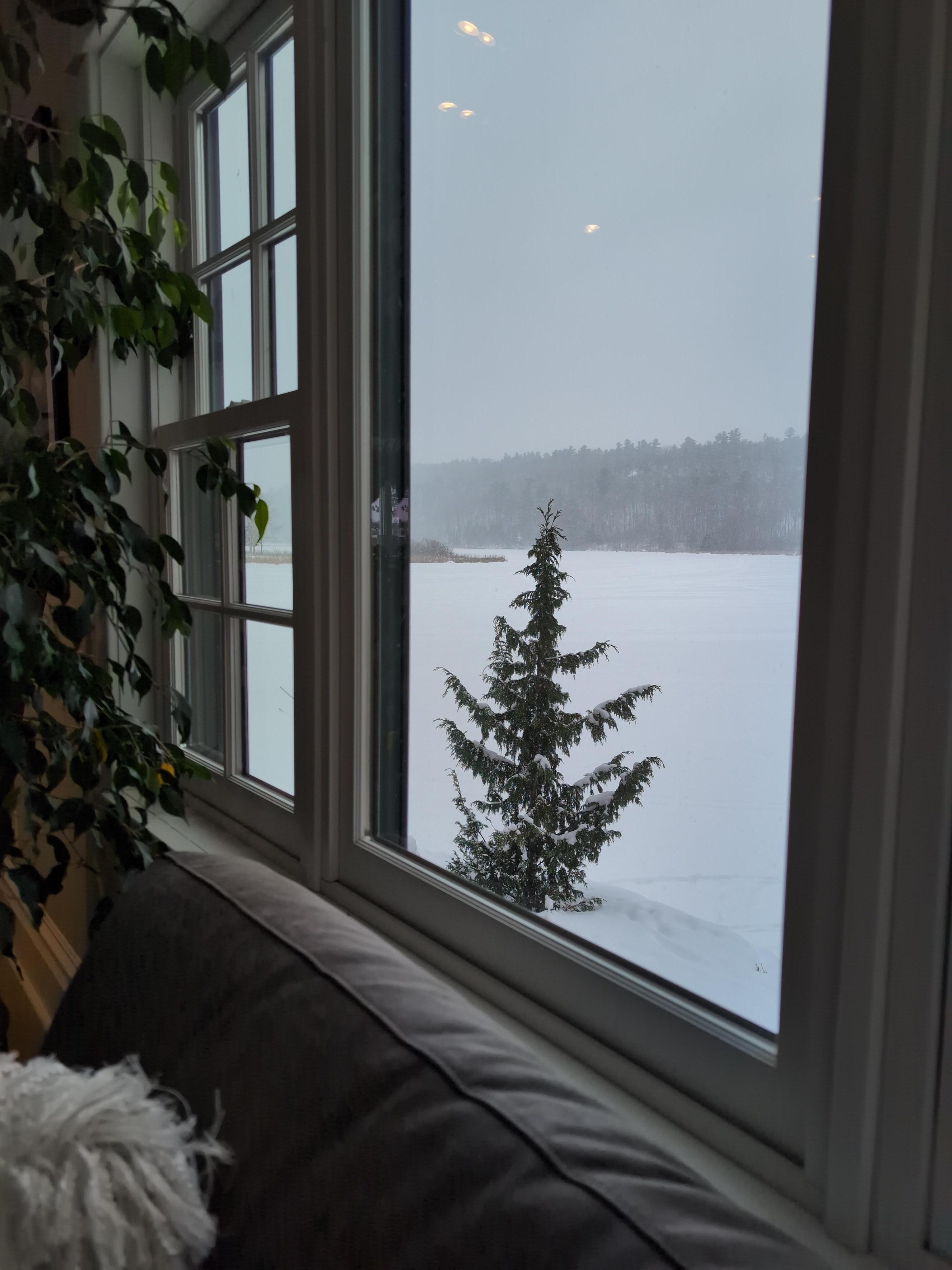 Pretty in the winter. Saw cross country skiiers and snowmobilers.