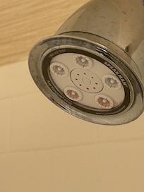 Shower head