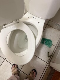 Broken toilet seat