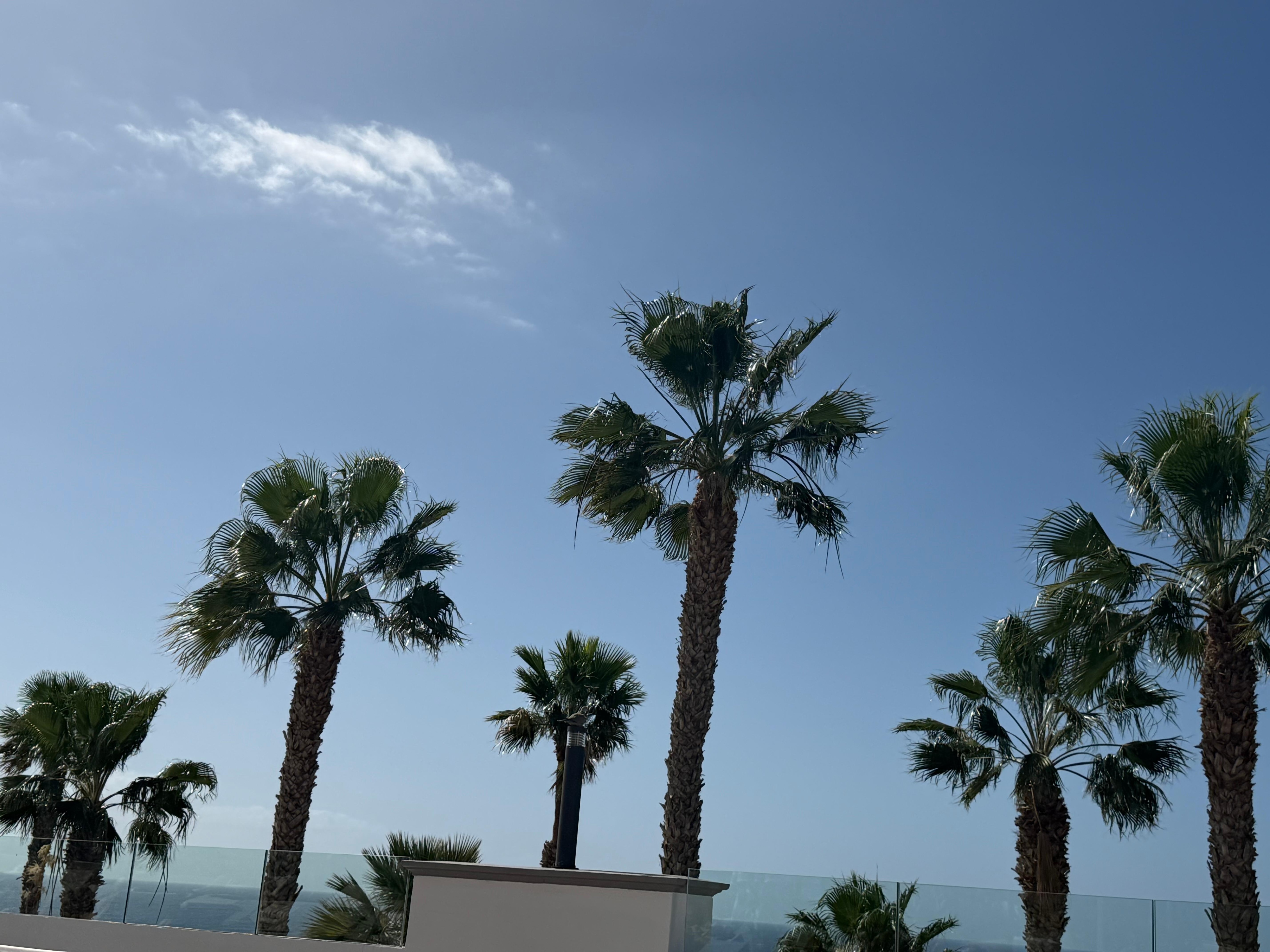 Relaxing in the hotel 