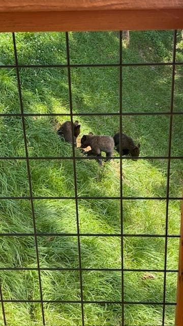 Taken from the porch.