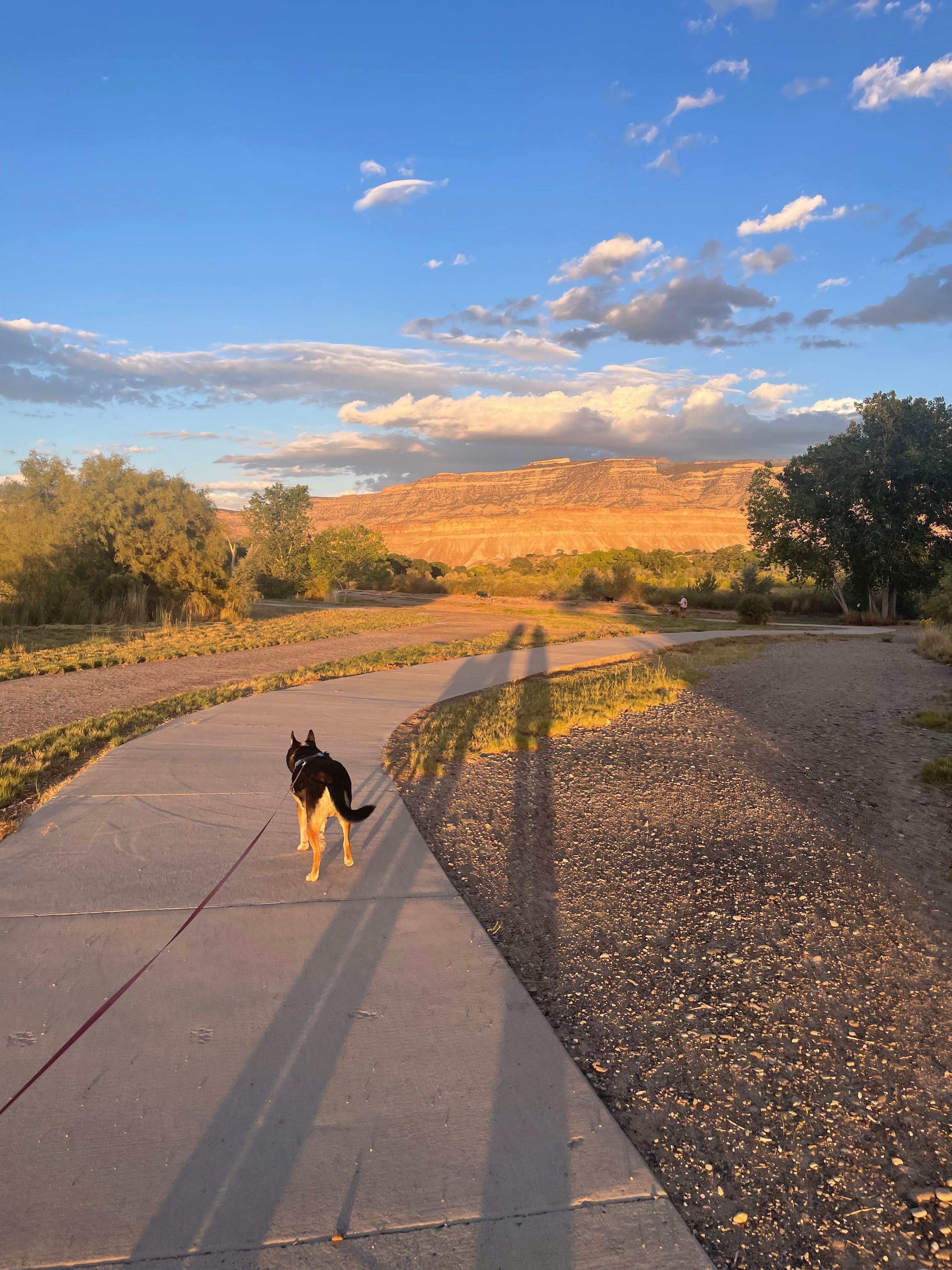 Walking trails close to the house.