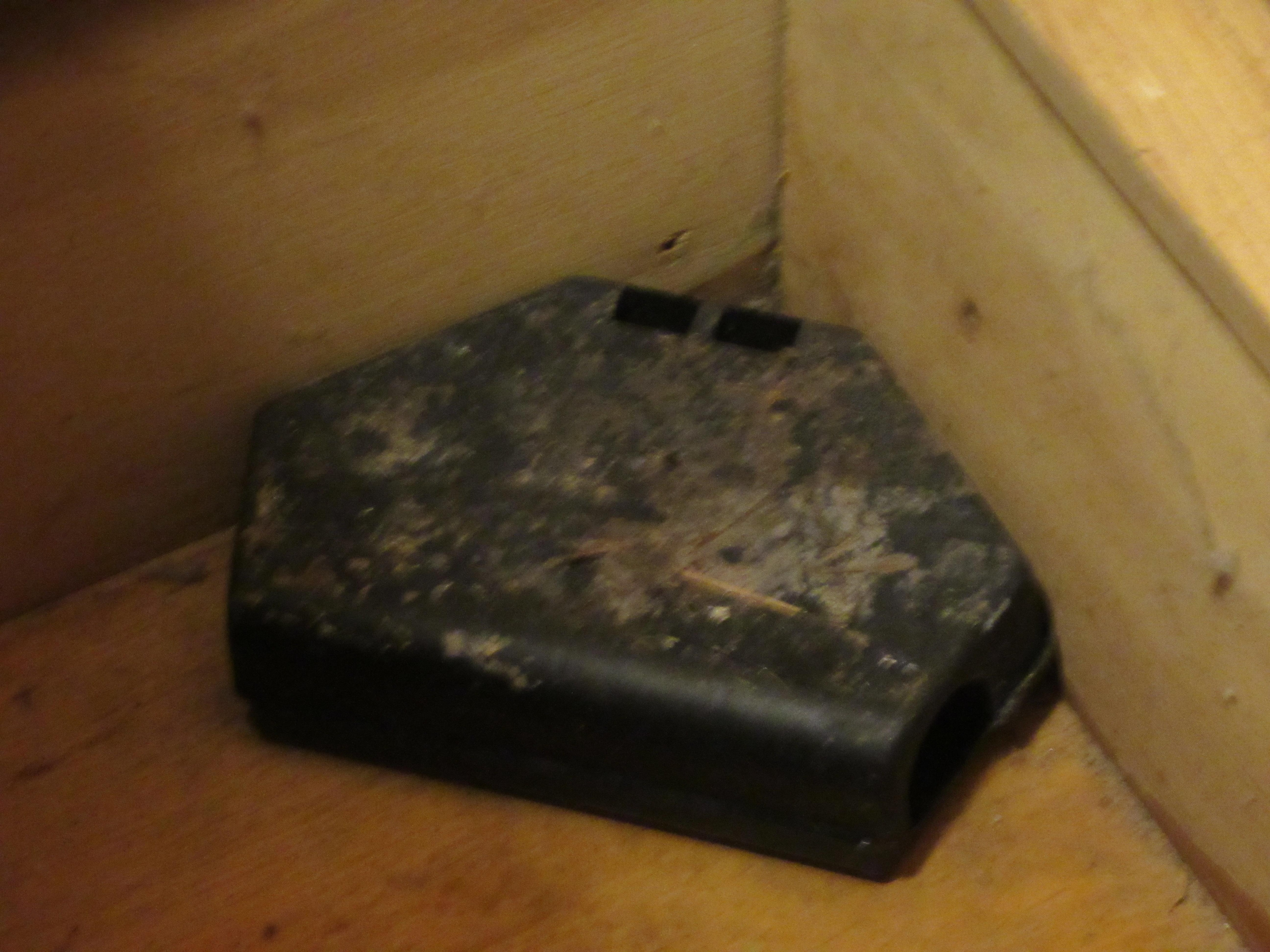 Mousetrap in bedroom is filthy and unsanitary looking