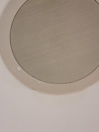 Leaking speaker from the shower.