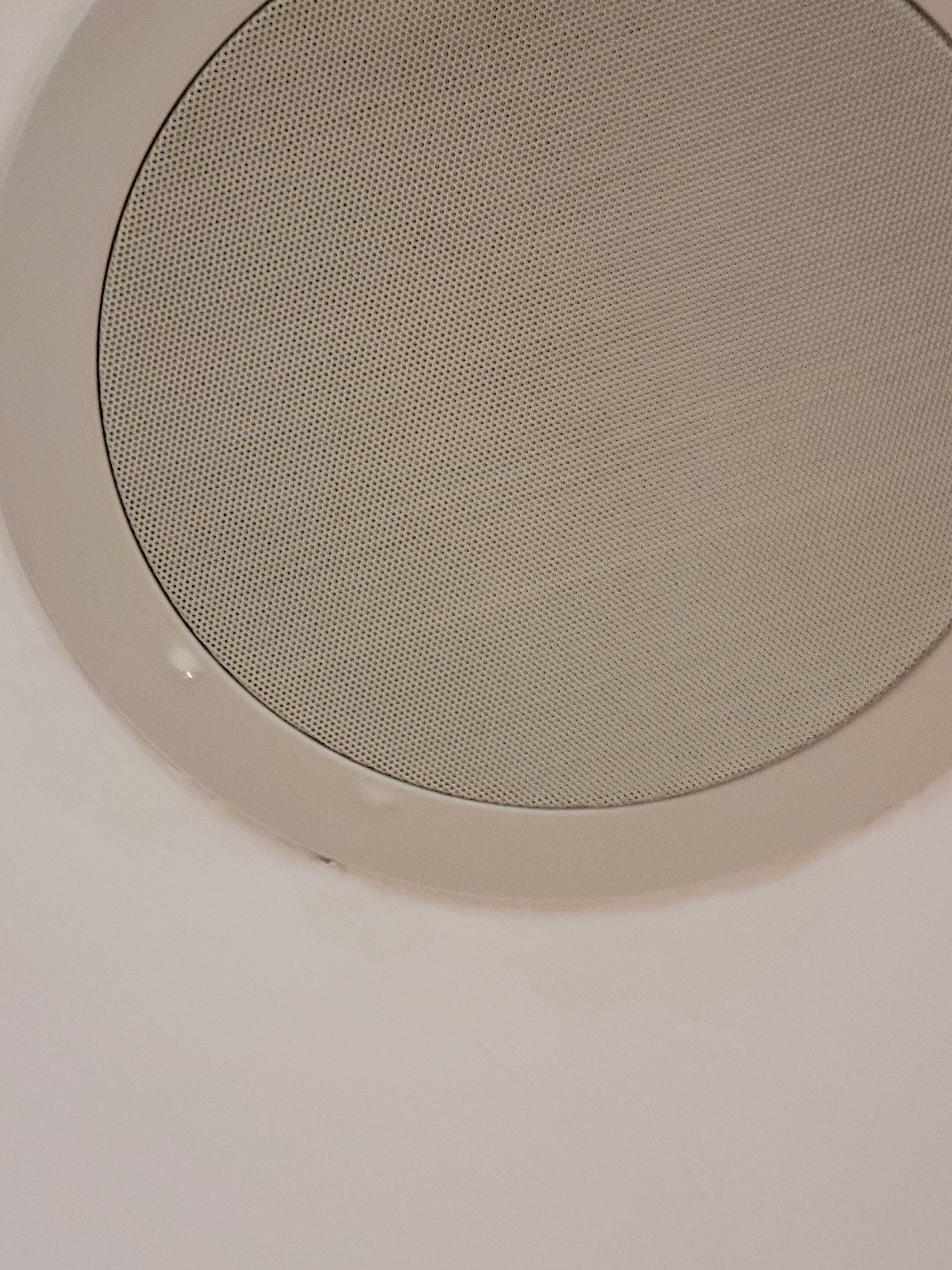 Leaking speaker from the shower.