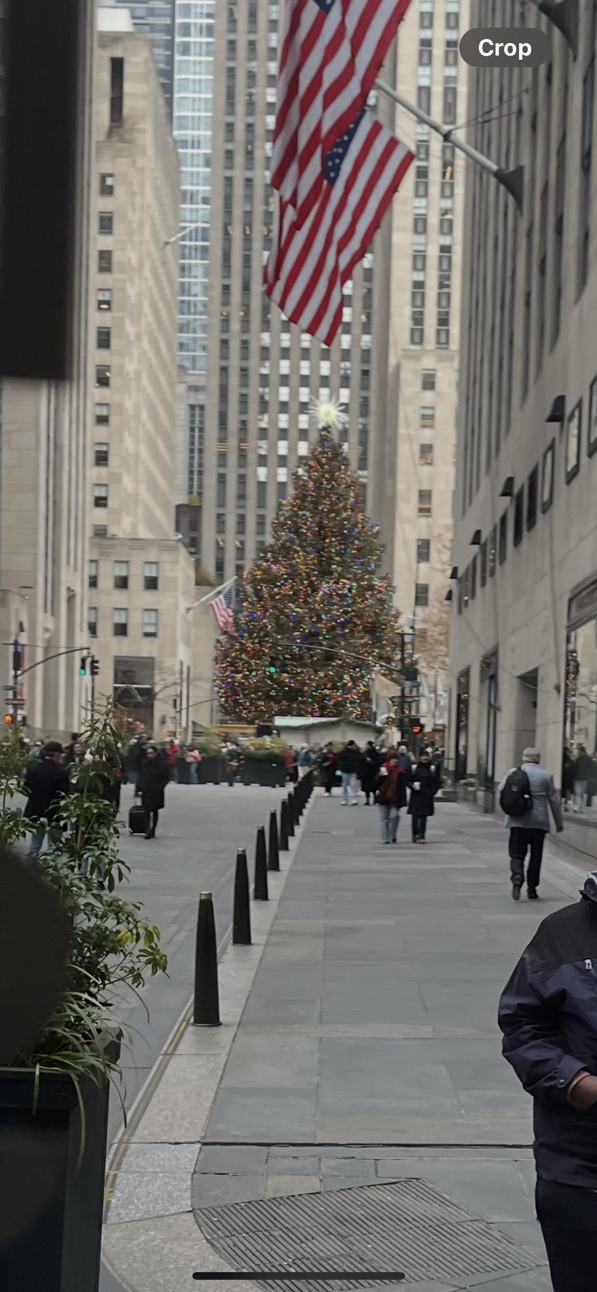 Christmas tree at Rockefeller Center.