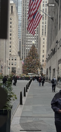 Christmas tree at Rockefeller Center.