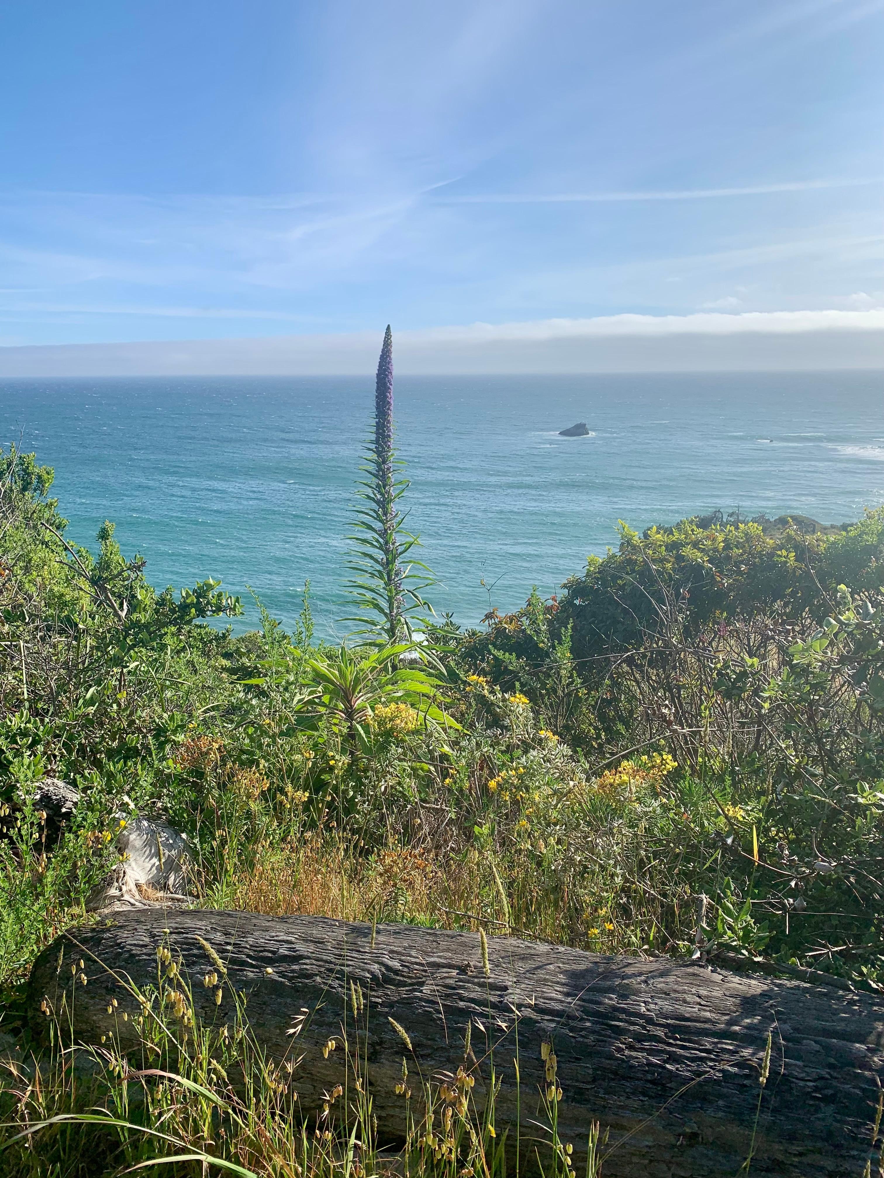 Beautiful look out point.