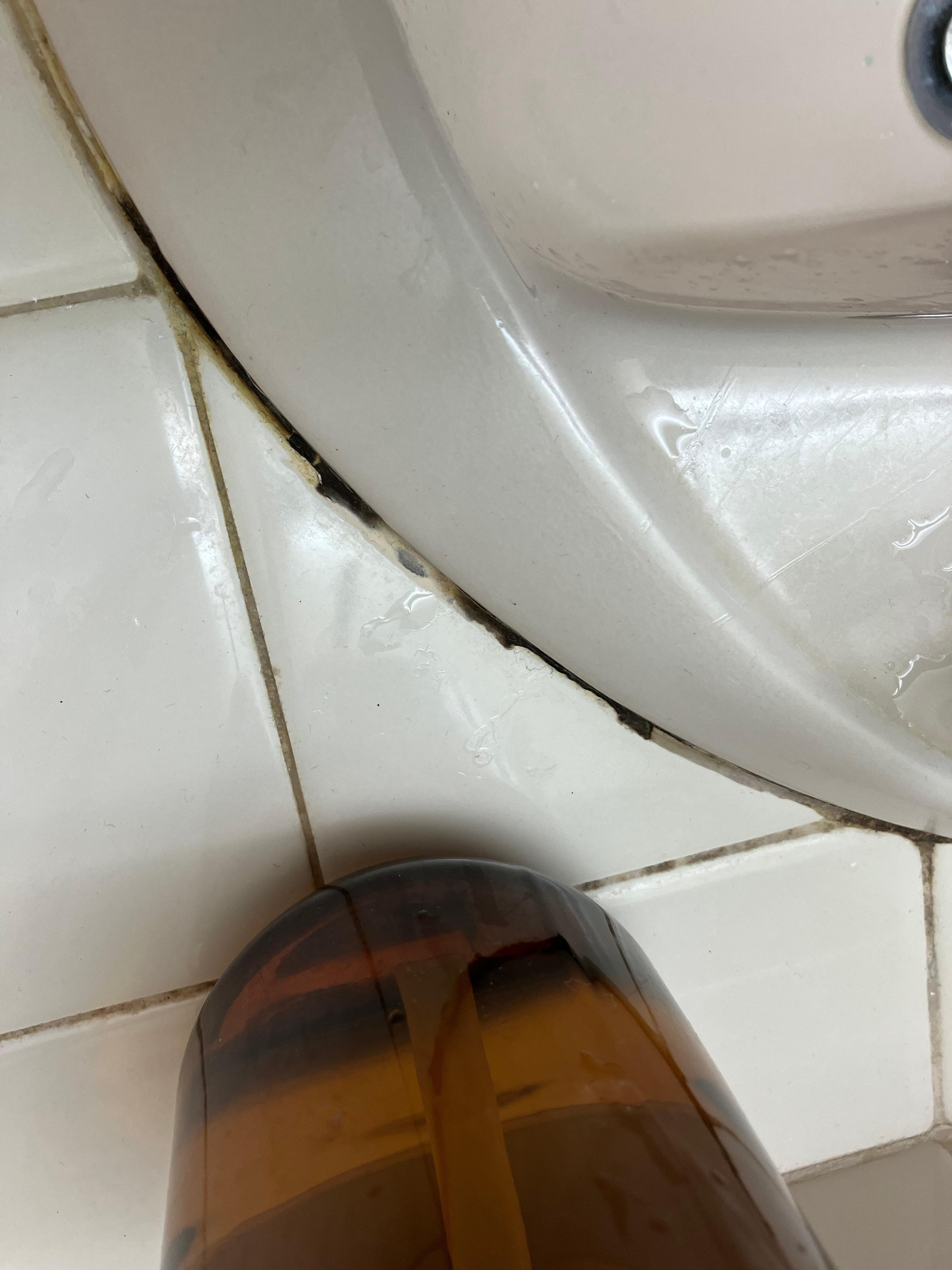 Mould round all sinks