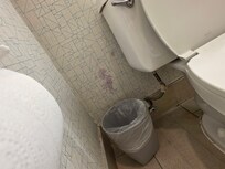 Looks like mold spots not properly fixed.