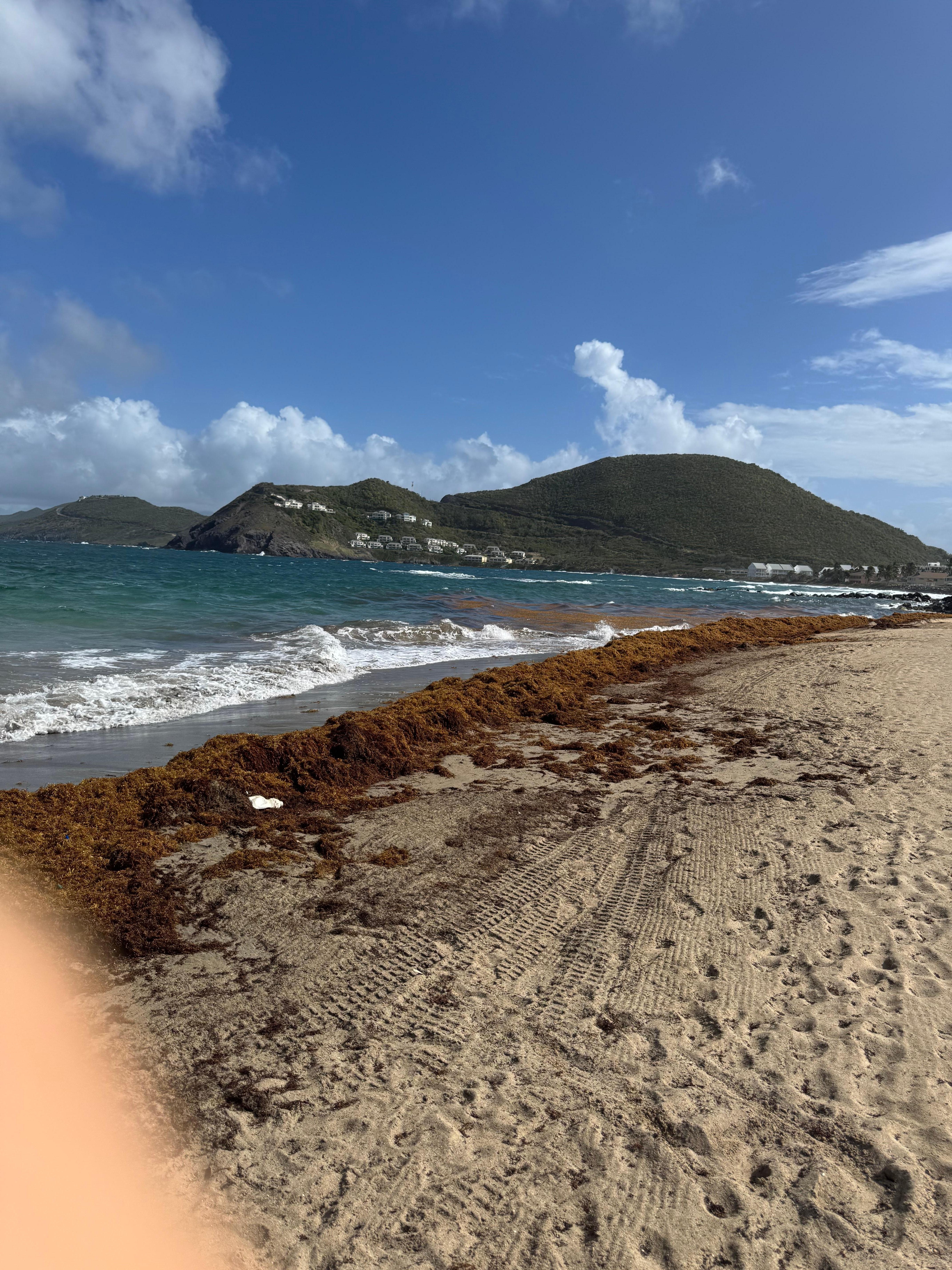 Beach at the Mariott. 