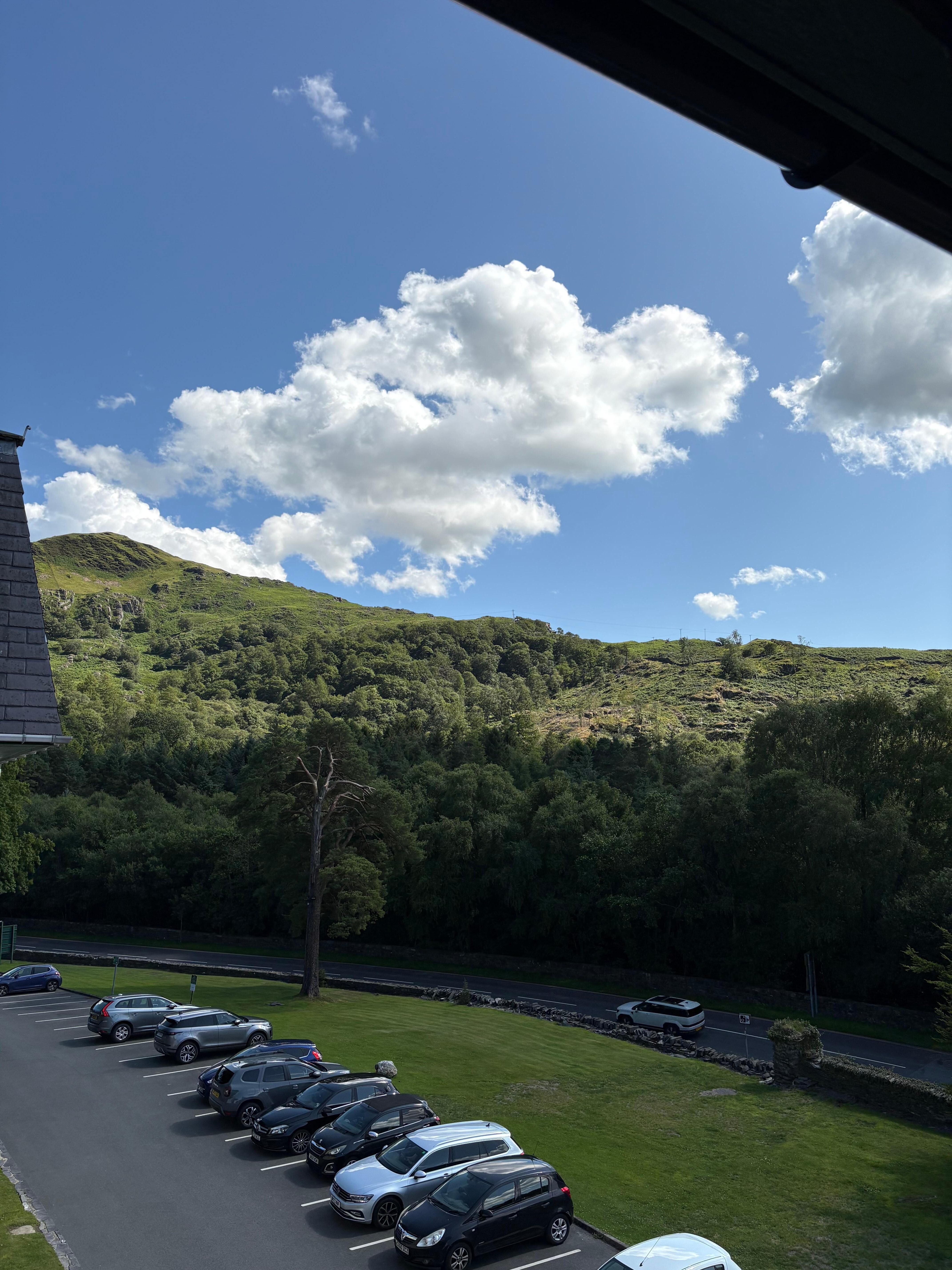 What a view 