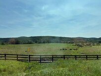 View from the drive