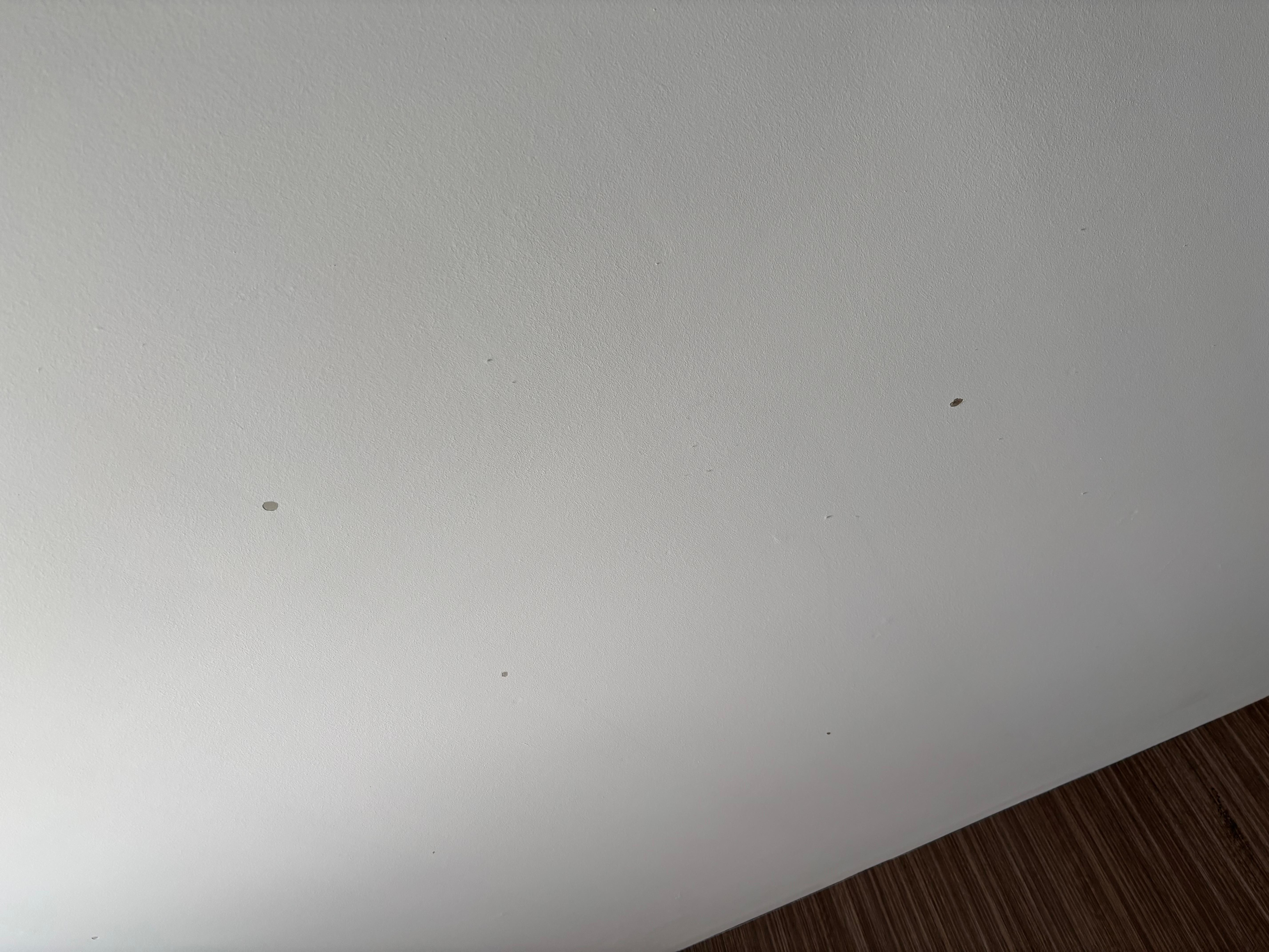 Holes/chips on ceiling