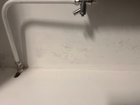 Damp / mould on external wall