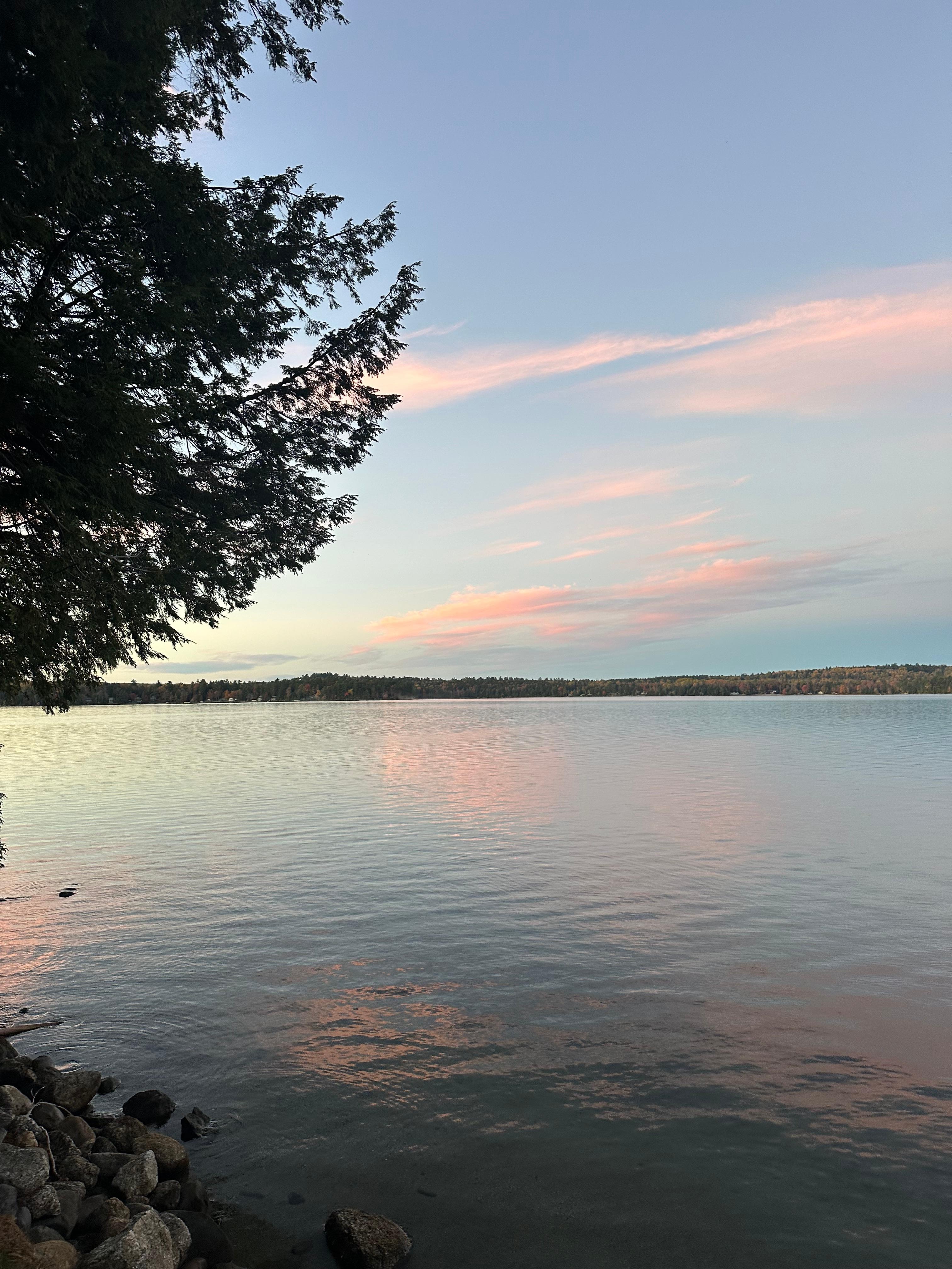Morning view from the fire pit