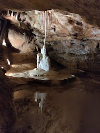 Grotte de la cave