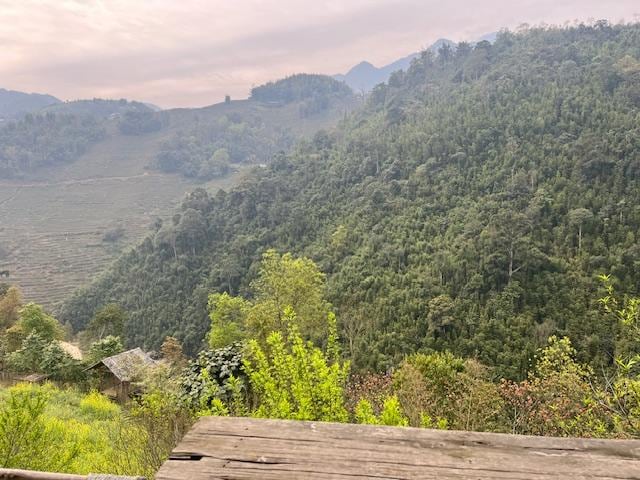 the view from our cabin on a hazy morning