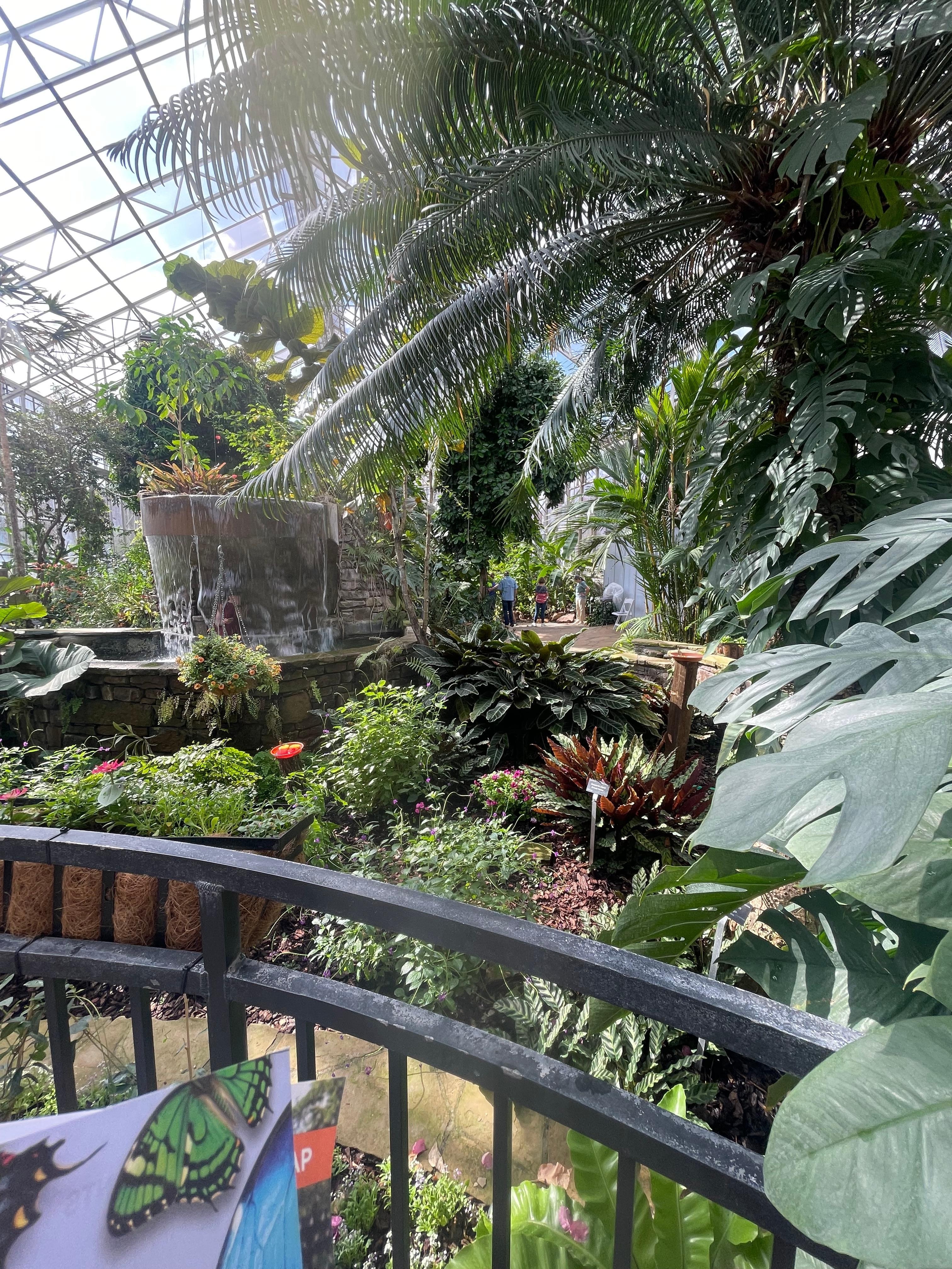 Butterfly at botanical gardens