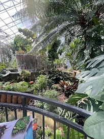 Butterfly at botanical gardens