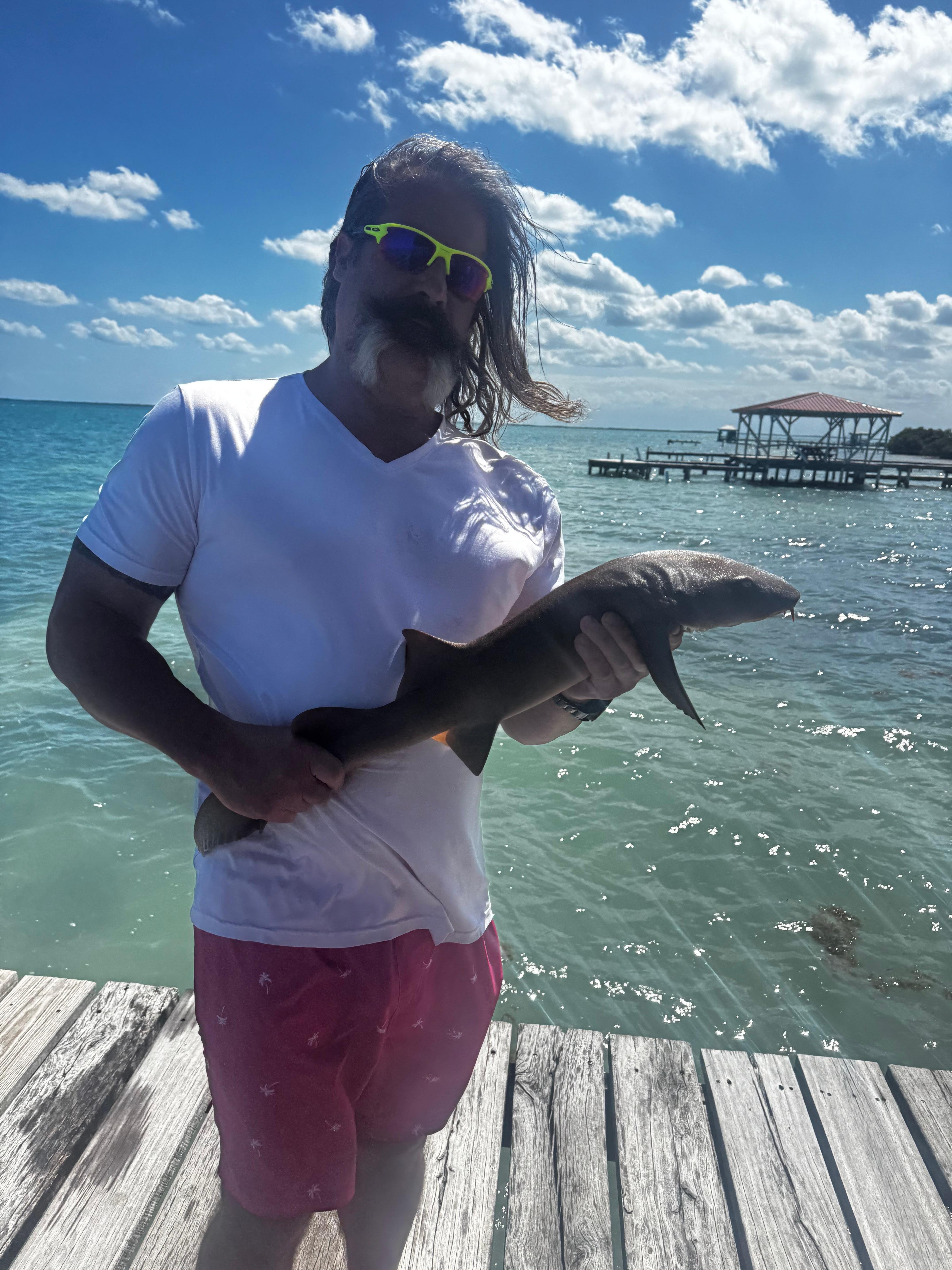 A nurse shark we caught from the pier 