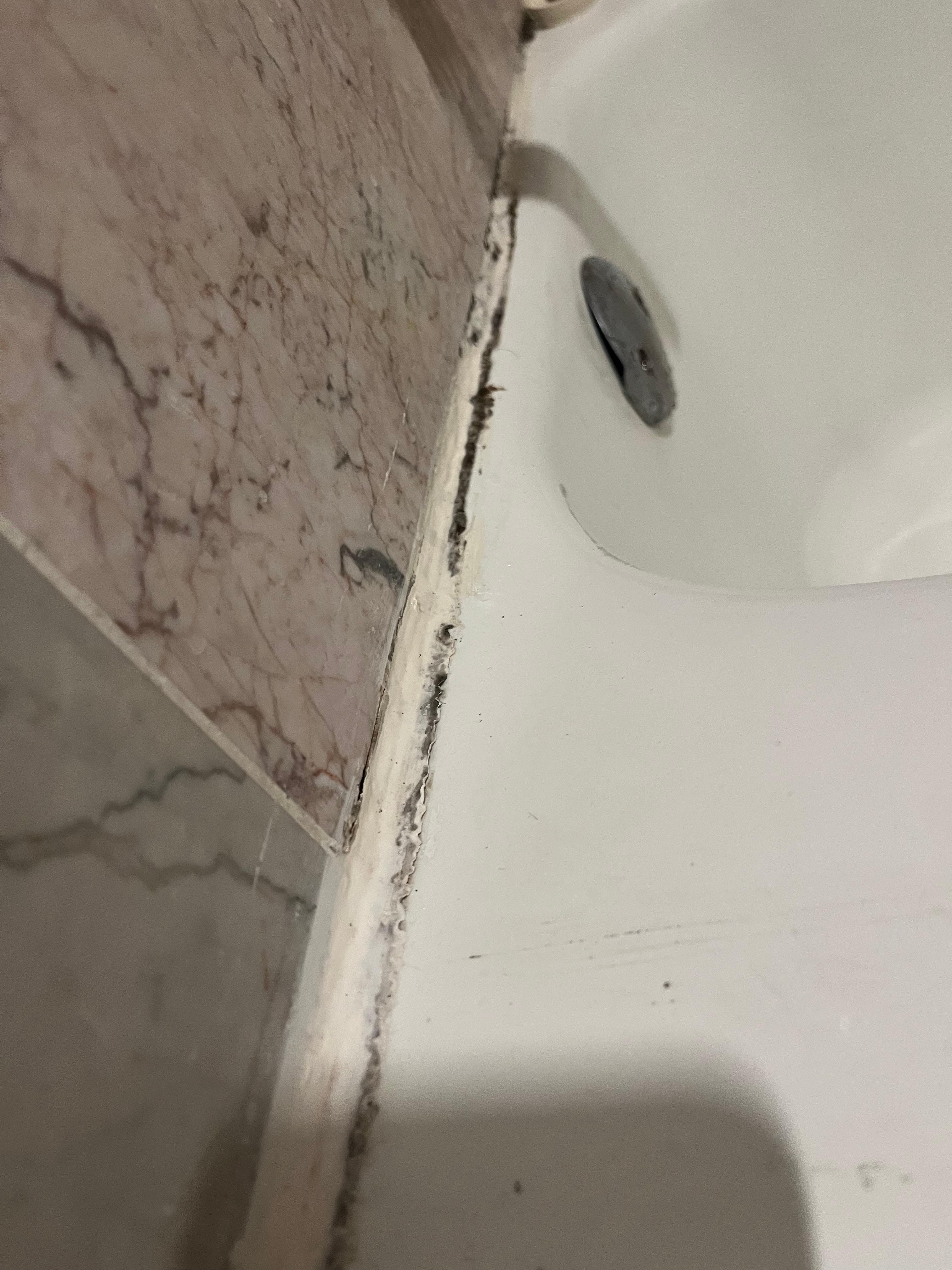 Mold in the bathroom