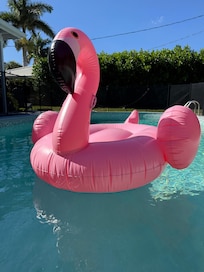 Float in heated pool