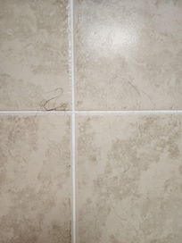 Shower wall
