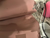 Ants