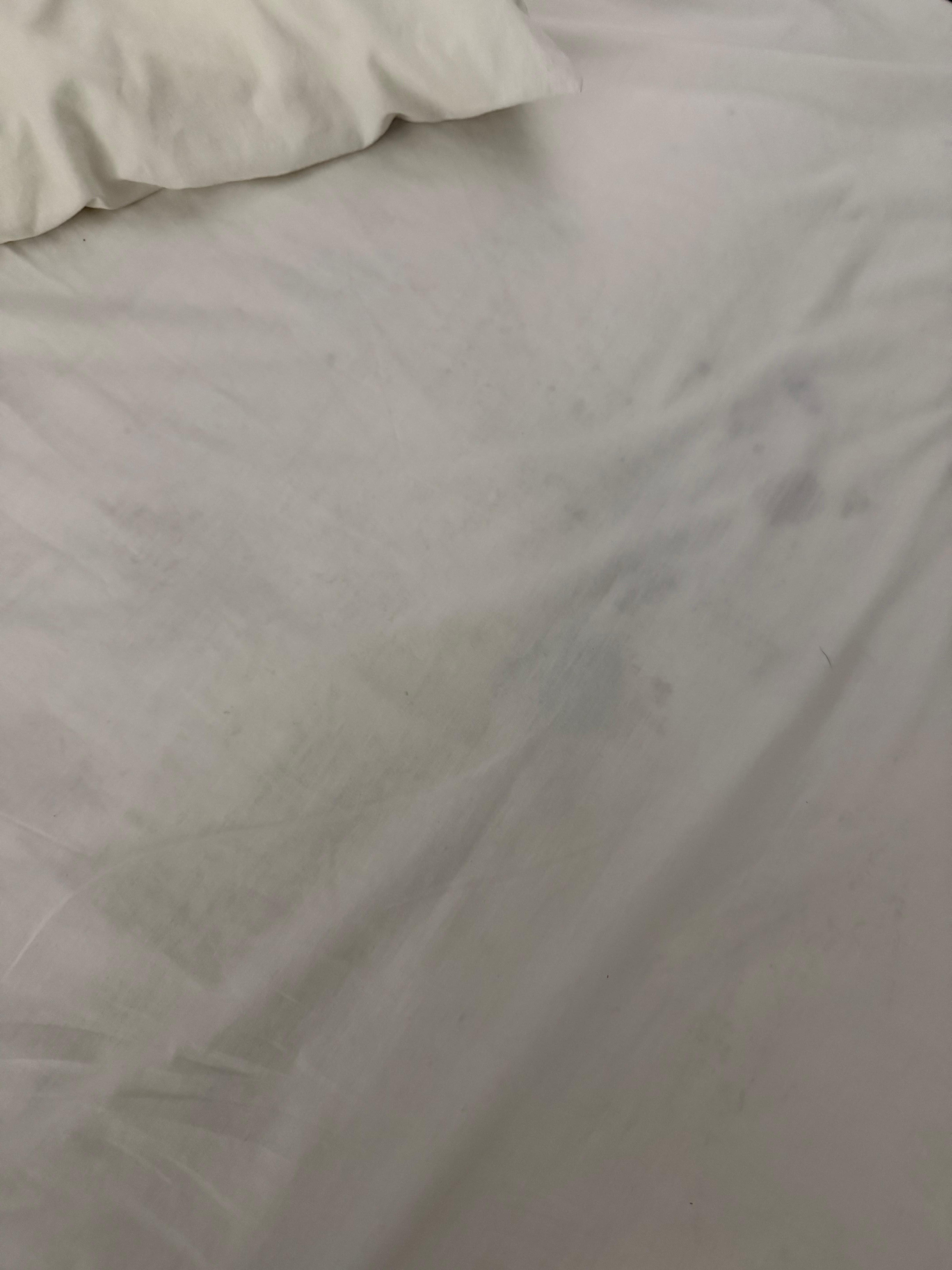 No quisiera haber levantado esa sábana para saber que manchas había 