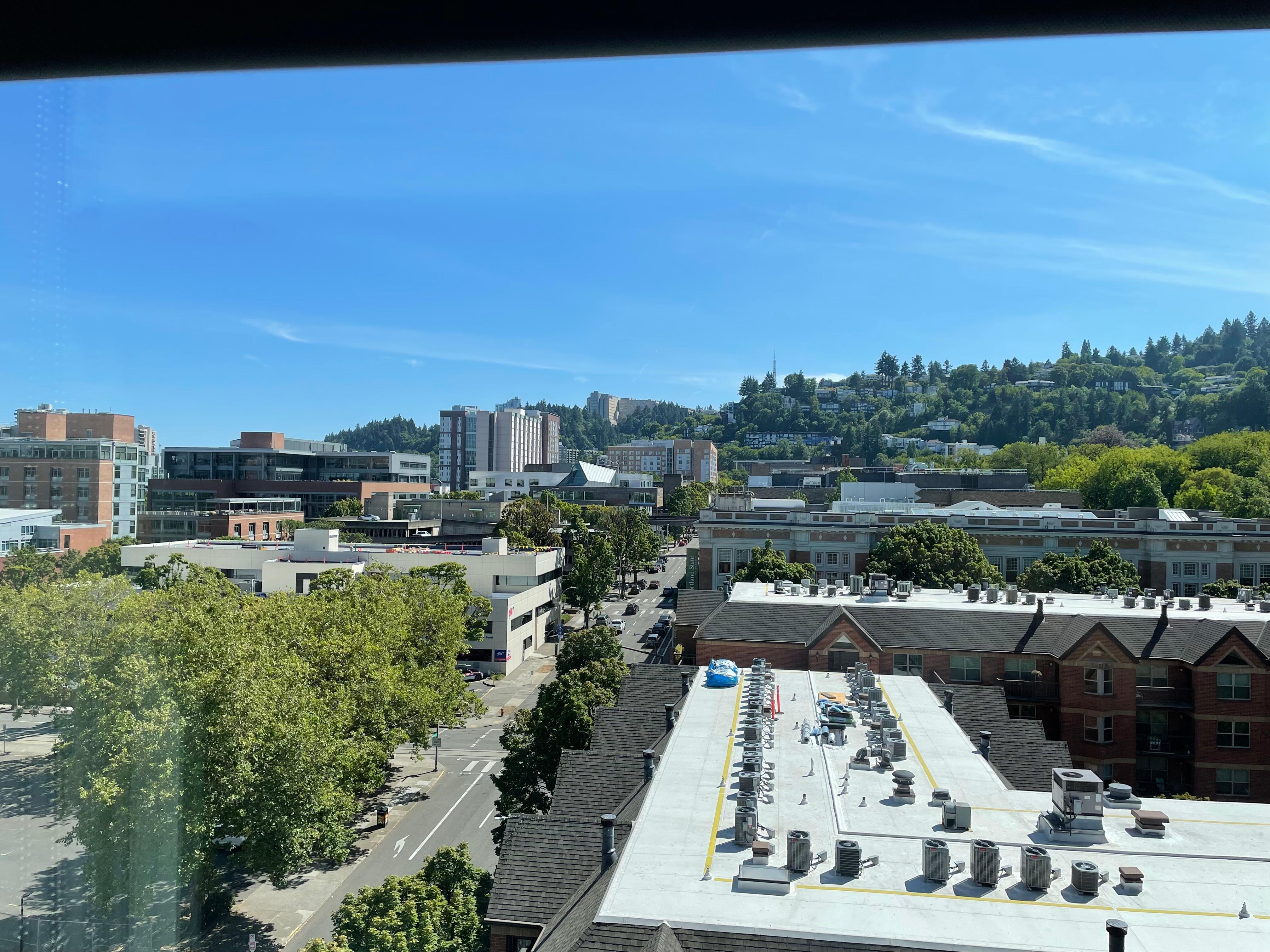 View from my room 