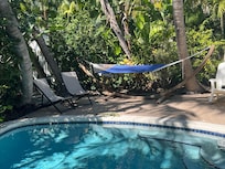 An iguana came to visit the pool