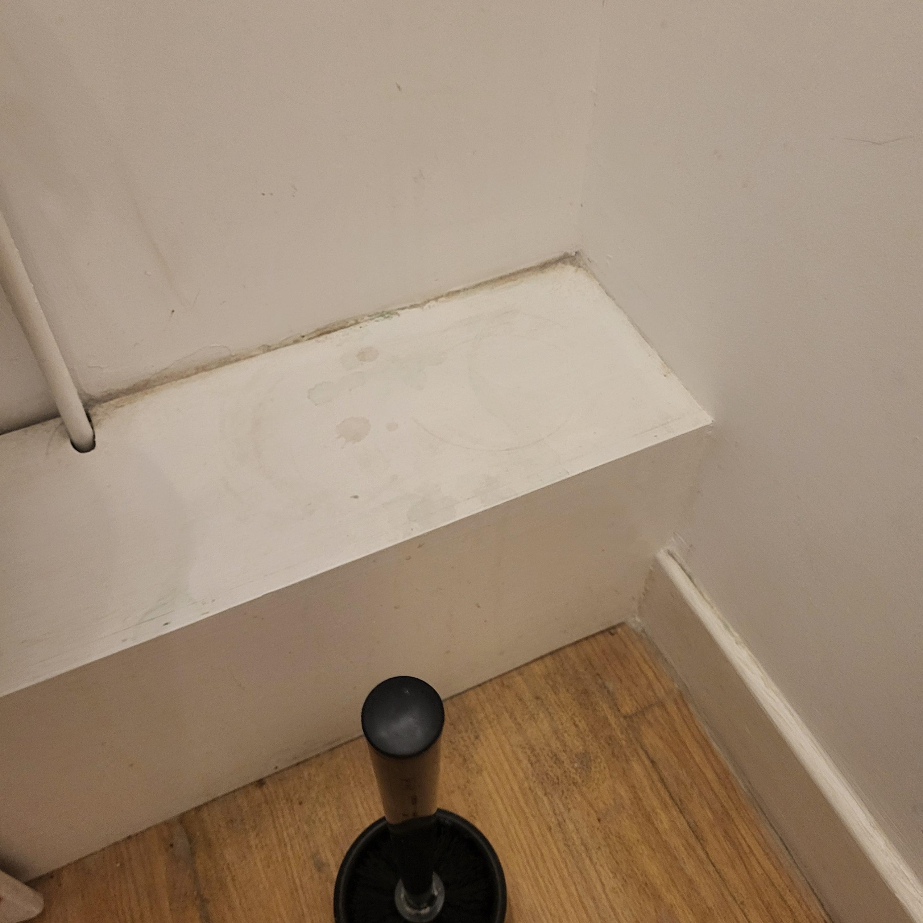 Dirty & moldy toilette