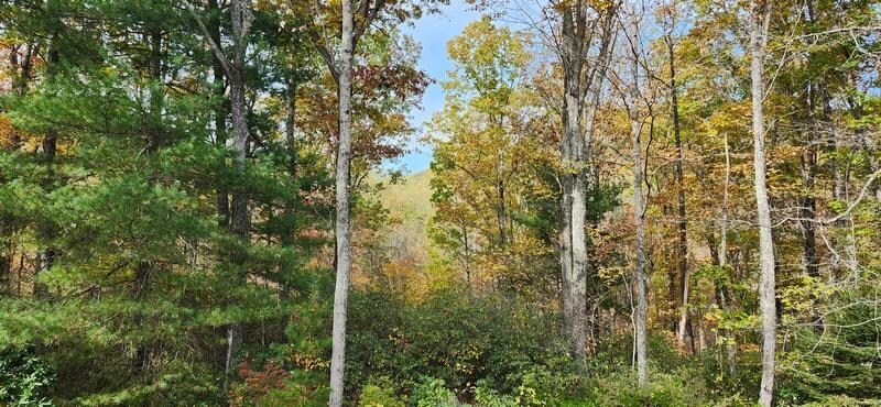 The ONE view of the mountains.  Great scenery going to and from, though!